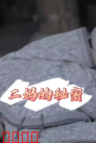 二妈的秘密