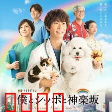 我与尾巴与神乐坂