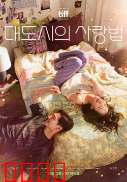 大都市的爱情法【影视解说】