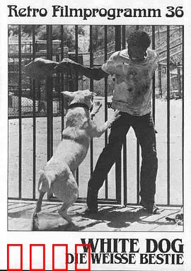 白狗【影视解说】