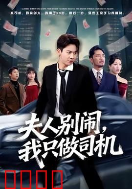 夫人别闹我只做司机