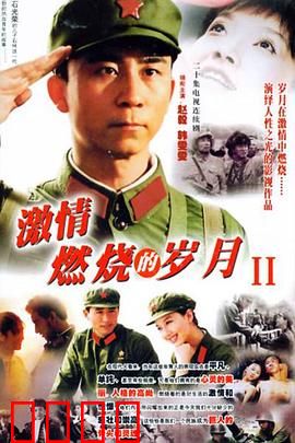 激情燃烧的岁月2