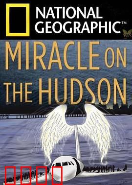 奇迹迫降哈德逊河