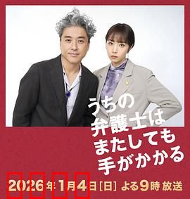 我家的律师又惹麻烦了