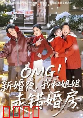 新婚夜，我和姐姐走错婚房