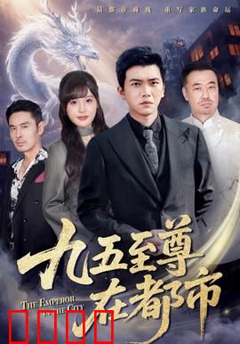 九五至尊在都市