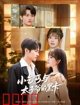 小乞丐与太子爷的黑卡