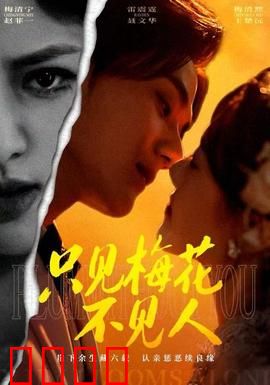 只见梅花不见人