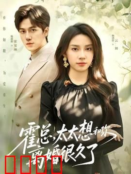 霍总，太太想和你离婚很久了