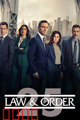 法律与秩序第二十五季