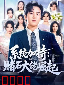 统加持：赌石大佬崛起