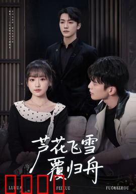 芦花飞雪覆归舟