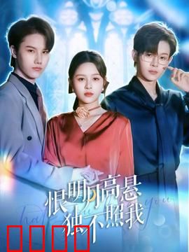 恨明月高悬独不照我