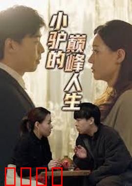 小驴的巅峰人生