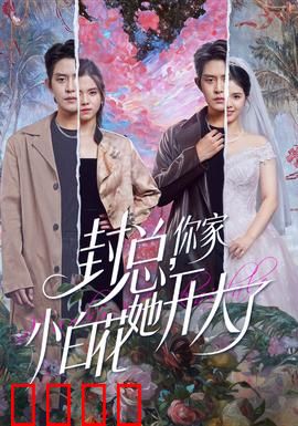 封总，你家小白花她开大了