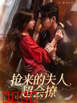 抢来的夫人超会撩
