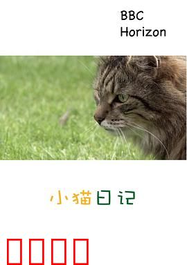 地平线系列：小猫日记