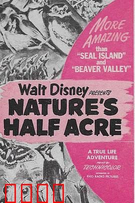 大自然的50英亩