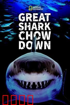 鲨鱼进食秀
