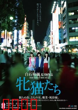 雌猫们【影视解说】