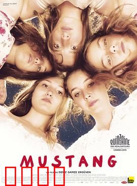 野马【影视解说】