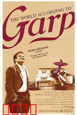 盖普眼中的世界