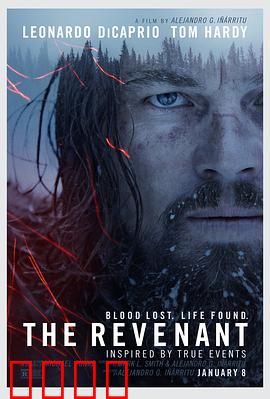 荒野猎人【影视解说】