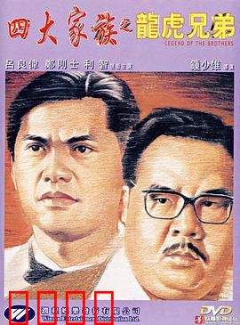 四大家族之龙虎兄弟【影视解说】