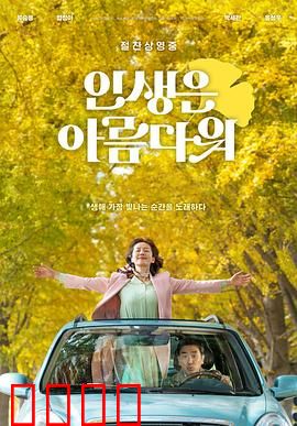 人生真美丽【影视解说】