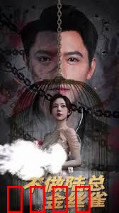 掌中玩物，不做陆总金丝雀