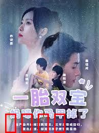  一胎双宝，妈咪你马甲又掉了