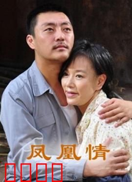 凤凰情【影视解说】
