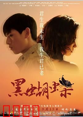 黑蝴蝶【影视解说】