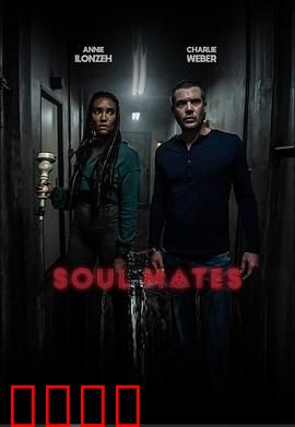 灵魂伴侣【影视解说】