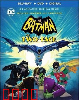 蝙蝠侠大战双面人