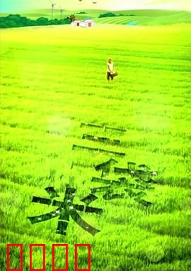 三袋米【影视解说】