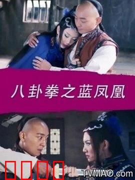 八卦拳之蓝凤凰