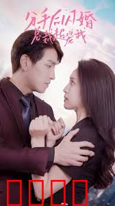 分手后闪婚总裁超宠我