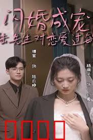 闪婚成宠，陆先生对恋爱过敏