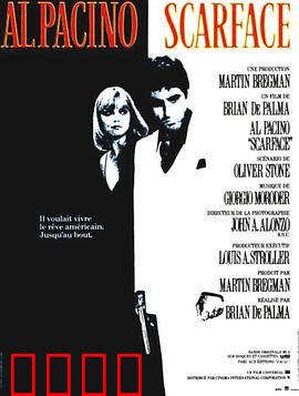 疤面煞星【影视解说】