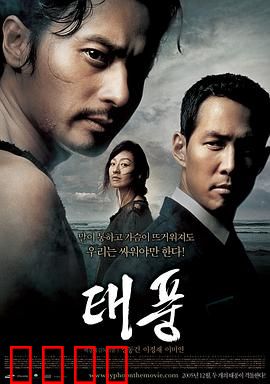 台风【影视解说】