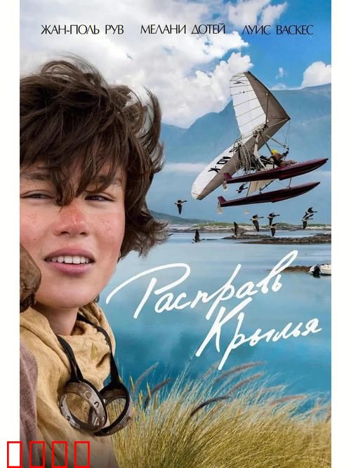 孤雁和你飞【影视解说】