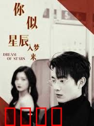 你似星辰入梦来
