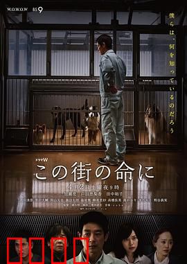 为了这条街的生命