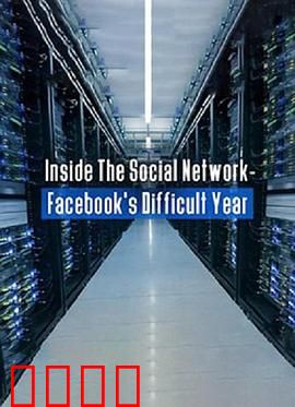 深入社交网络：Facebook困难的一年