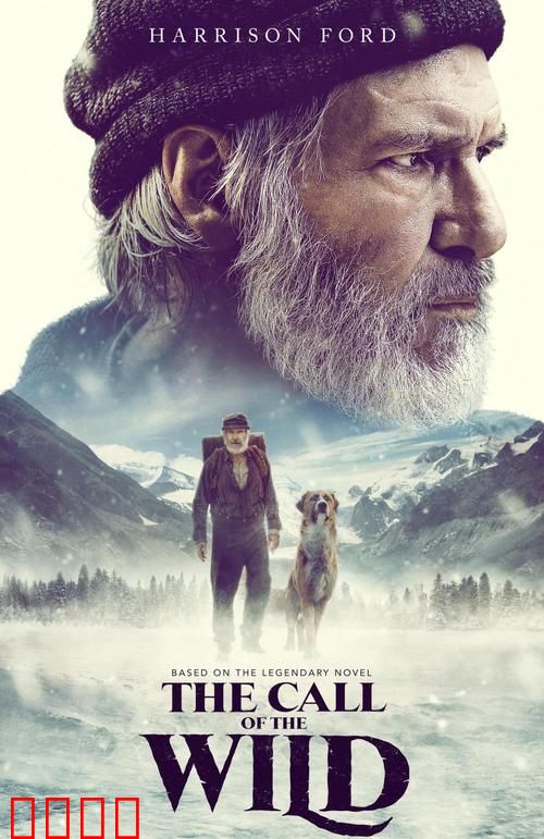 荒野的呼唤【影视解说】