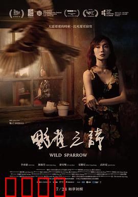 野雀之诗【影视解说】