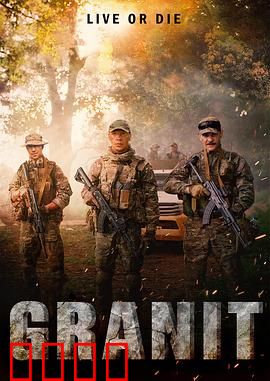 花岗岩【影视解说】