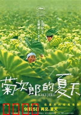 菊次郎的夏天【影视解说】