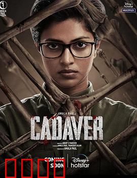 法医缉凶【影视解说】